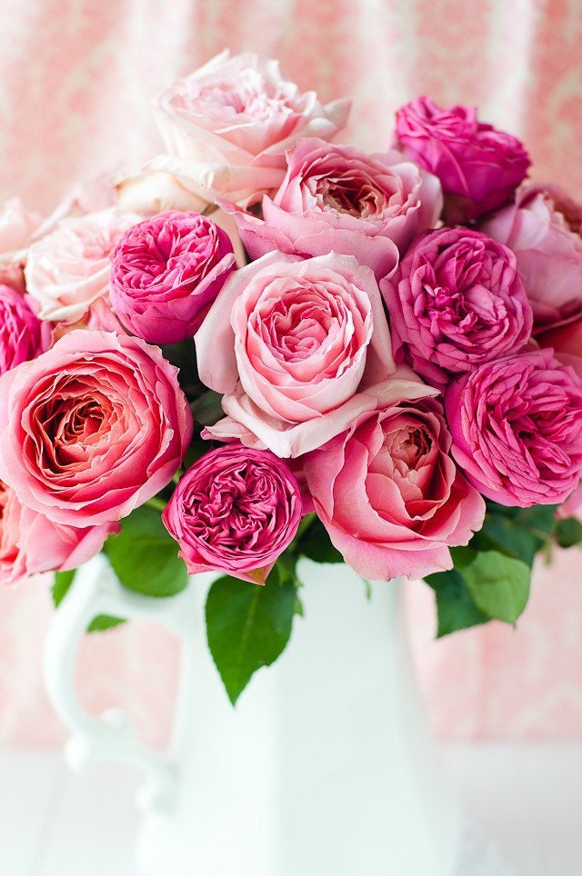 Fresh Garden Roses - Lovely Mother’s Day gift or anytime gift - spring decor