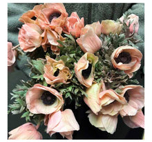 Load image into Gallery viewer, Blush Anemone - bulk special fresh gorgeous farm fresh flowers
