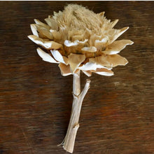 Load image into Gallery viewer, Dried Bleached Artichoke Stems
