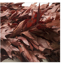Load image into Gallery viewer, Dried chocolate brown oak leaves- fall oak decor - real dried oak leaves
