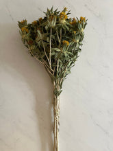 Load image into Gallery viewer, 3 Dried yellow safflower bundles
